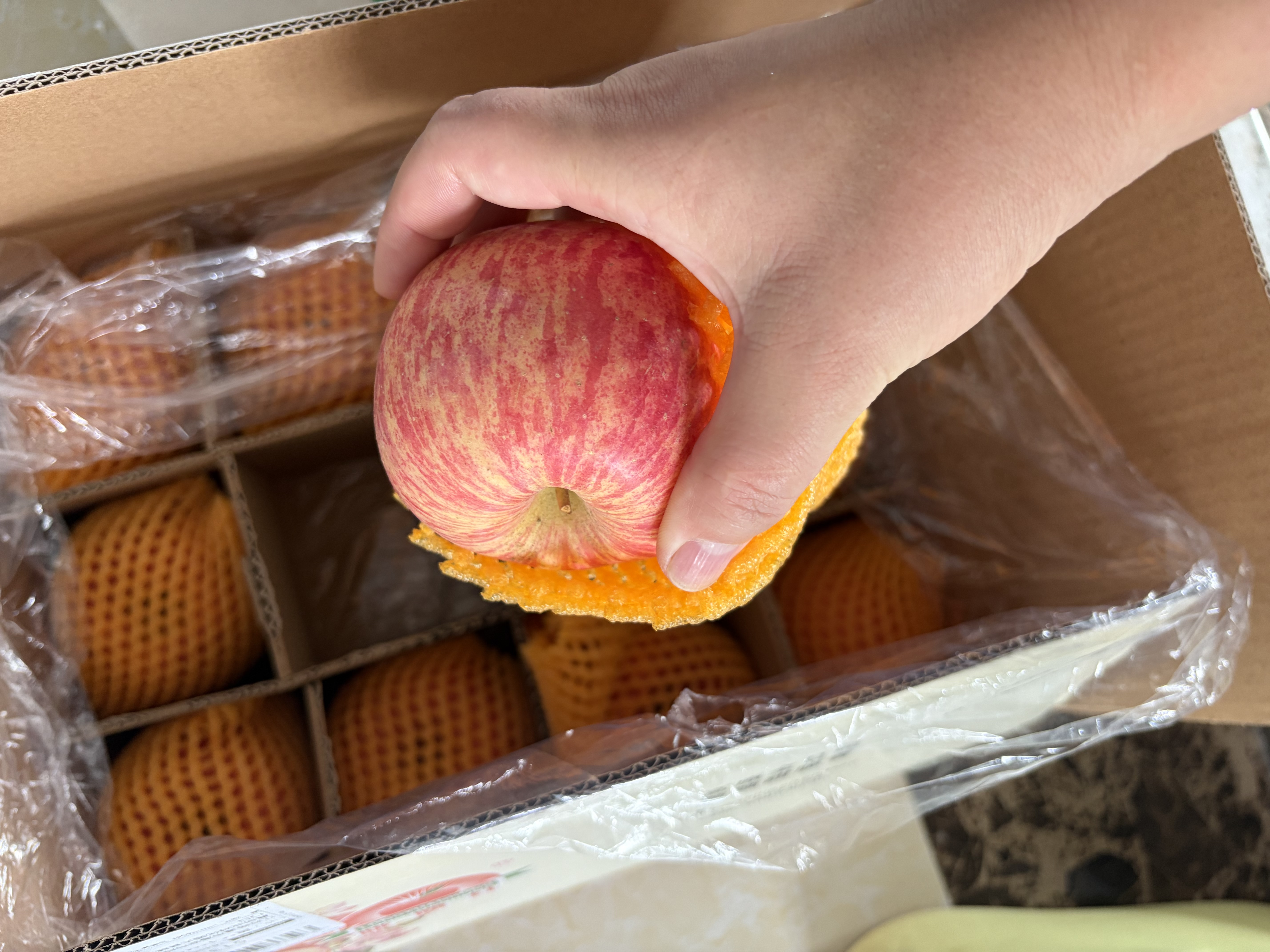静宁苹果 【顺丰到家】甘肃红富士苹果水果 新鲜应季静宁苹果 净重5斤中果75mm 实拍图