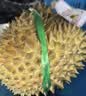 裕琼泰国金枕榴莲【多地次日达】当季进口新鲜一整个带壳巴掌鲜果 净重【3-4斤】高出肉率 包3-4房 实拍图