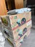 维他奶维他经典柠檬味茶饮料250ml*24盒 家庭聚会 新老包装发货PINGU 实拍图