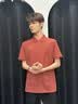 海澜之家短袖POLO衫男26新马年凉感短袖男夏季砖红M 实拍图