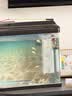 森森 小鲤鱼缸过滤器净水循环三合一内置水族箱过滤系统XQP-500F 6W 实拍图