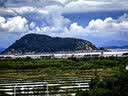 腾龙（Tamron）A074S 28-300mm F/4-7.1 Di III VC VXD防抖大变焦长焦 旅行风光 全画幅微单镜头(索尼全幅E口) 实拍图
