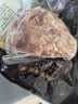 精气神 国产无抗山黑猪肉馅750g冷冻约70%瘦肉馅饺子 实拍图