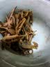 七春2026绿茶信阳毛尖新茶河南特产小罐装冷泡茶品鉴茶叶100g 实拍图