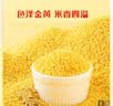 十月稻田 赤峰小米 1kg 内蒙古敖汉旗 黄小米杂粮 小米黄小米 实拍图
