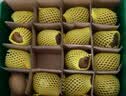 佳沛（zespri）绿奇异果10个装 宝宝果单果约80-89g猕猴桃中秋节礼品送水果礼盒 实拍图