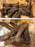 周黑鸭【选5盒】锁鲜星享盒装麻辣新鲜卤味办公室休闲零食 经典甜辣：卤鸭锁骨150g 实拍图