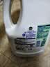 滴露（Dettol）衣物消毒液除菌松木3L 衣服消毒水99.9%杀菌除螨内衣裤配洗衣液 实拍图