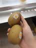 佳沛（zespri）新西兰 阳光金奇异果12粒特大果单果124-146g 猕猴桃水果礼盒 实拍图
