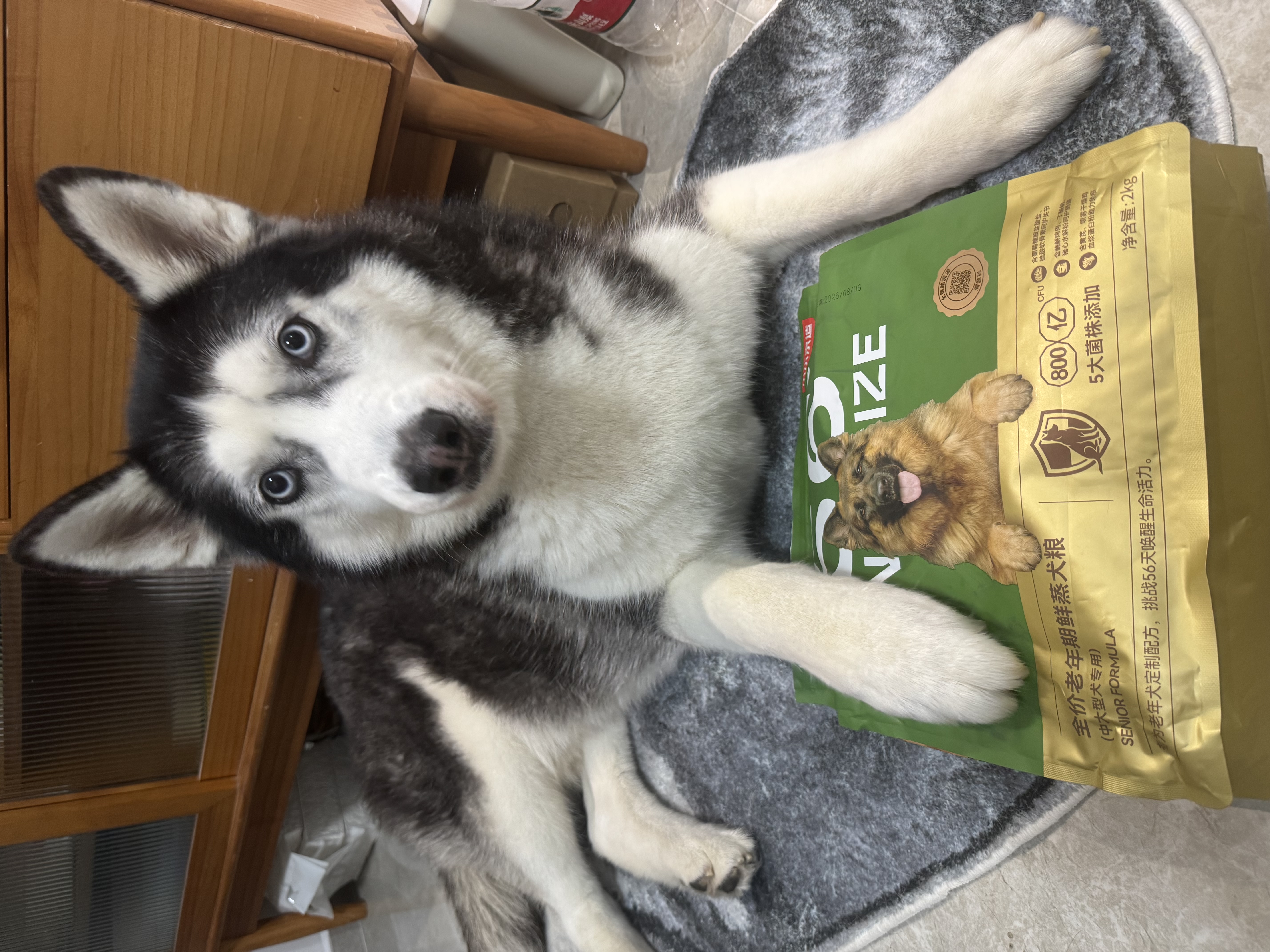 京东京造狗粮老年犬中大型高鲜肉鲜蒸7岁+抗初老护关节易消化狗粮2kg 实拍图