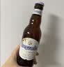 福佳白精酿啤酒330ml*24瓶整箱装比利时风味百威集团中秋送礼 实拍图