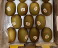 佳沛（zespri）新西兰金奇异果8粒特大果124-146g猕猴桃中秋节礼品送水果礼盒 实拍图