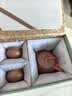 束氏丨京红运真裸价·宜兴手工紫砂壶茶具朱泥石瓢养生泡茶中秋节礼物 实拍图
