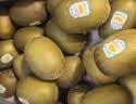 佳沛（zespri）新西兰金奇异果18粒超大原箱175-204g猕猴桃中秋节礼品送水果礼盒 实拍图