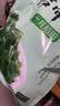十月稻田 大连产裙带菜 150g  裙带菜虾皮汤 早餐低脂 火锅煲汤 海产干货 实拍图