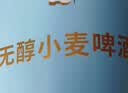 瓦伦丁（Wurenbacher）德国进口无醇树莓啤酒330ml*12听 0酒精 夏日果啤 京东自营 实拍图