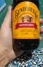 宾得宝（Bundaberg）含气干姜汁饮料375ml*6玻璃瓶装  澳州网红秋日出游果汁气泡水 实拍图