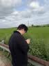 绿联【无黑边不挡屏】适用苹果17钢化膜iPhone17手机膜16Pro通用无边高清全屏防摔防爆保护膜 2片装 实拍图