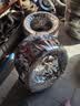 胎小强全新汽车轮胎 185/65R15 适配阳光轩逸颐达骊威启辰D50 实拍图