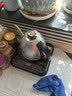 金灶（KAMJOVE）自动烧水壶泡茶壶电水壶自动上水电茶炉恒温热水壶茶具花茶壶FM-7 实拍图