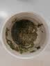 京东京造【2026新茶】明前信阳毛尖250g地标茶叶绿茶春茶自己喝自营性价比 实拍图