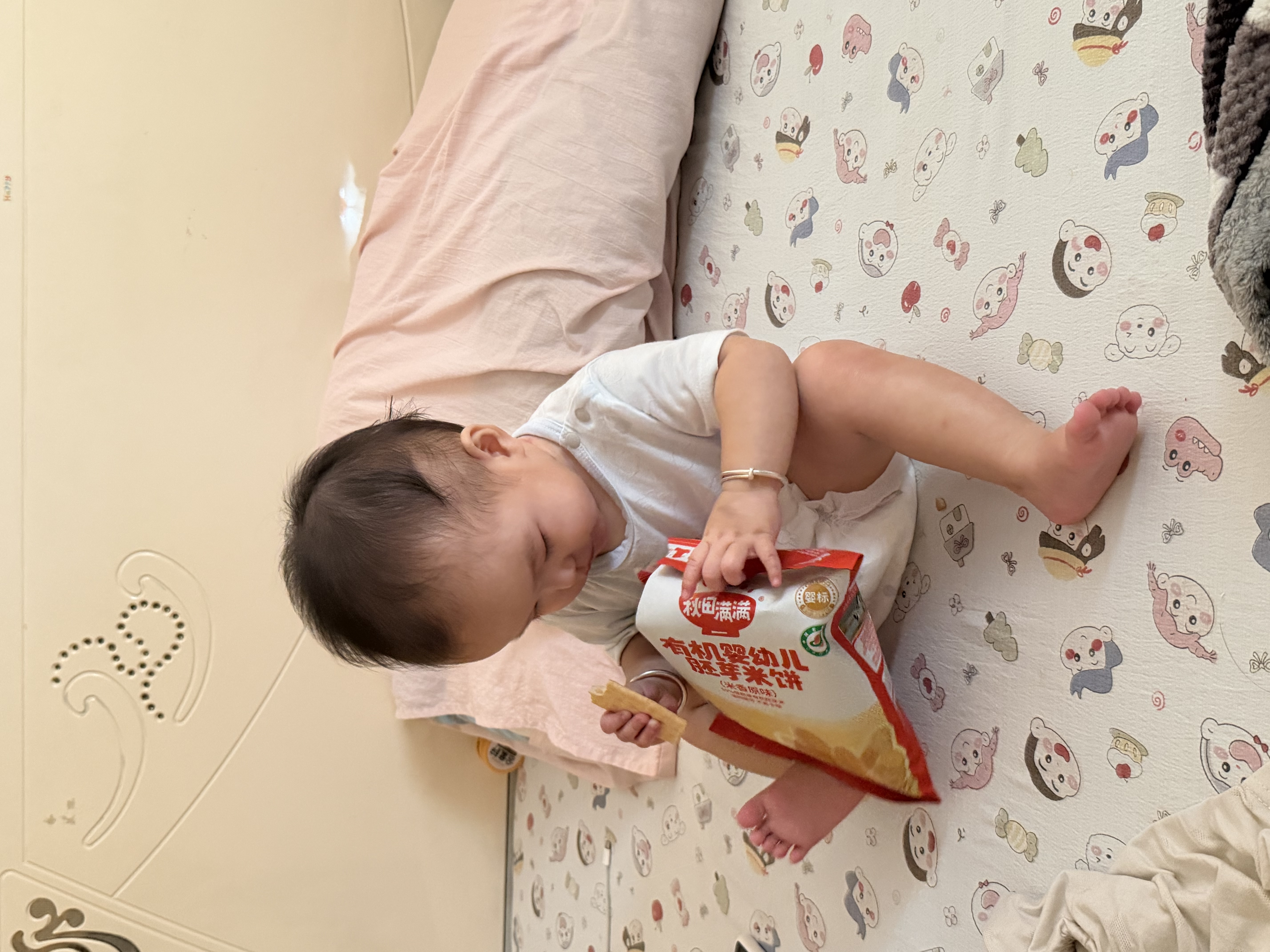 秋田满满婴幼儿有机米饼原味*2草莓味*2混合装131.2g宝宝零食 实拍图