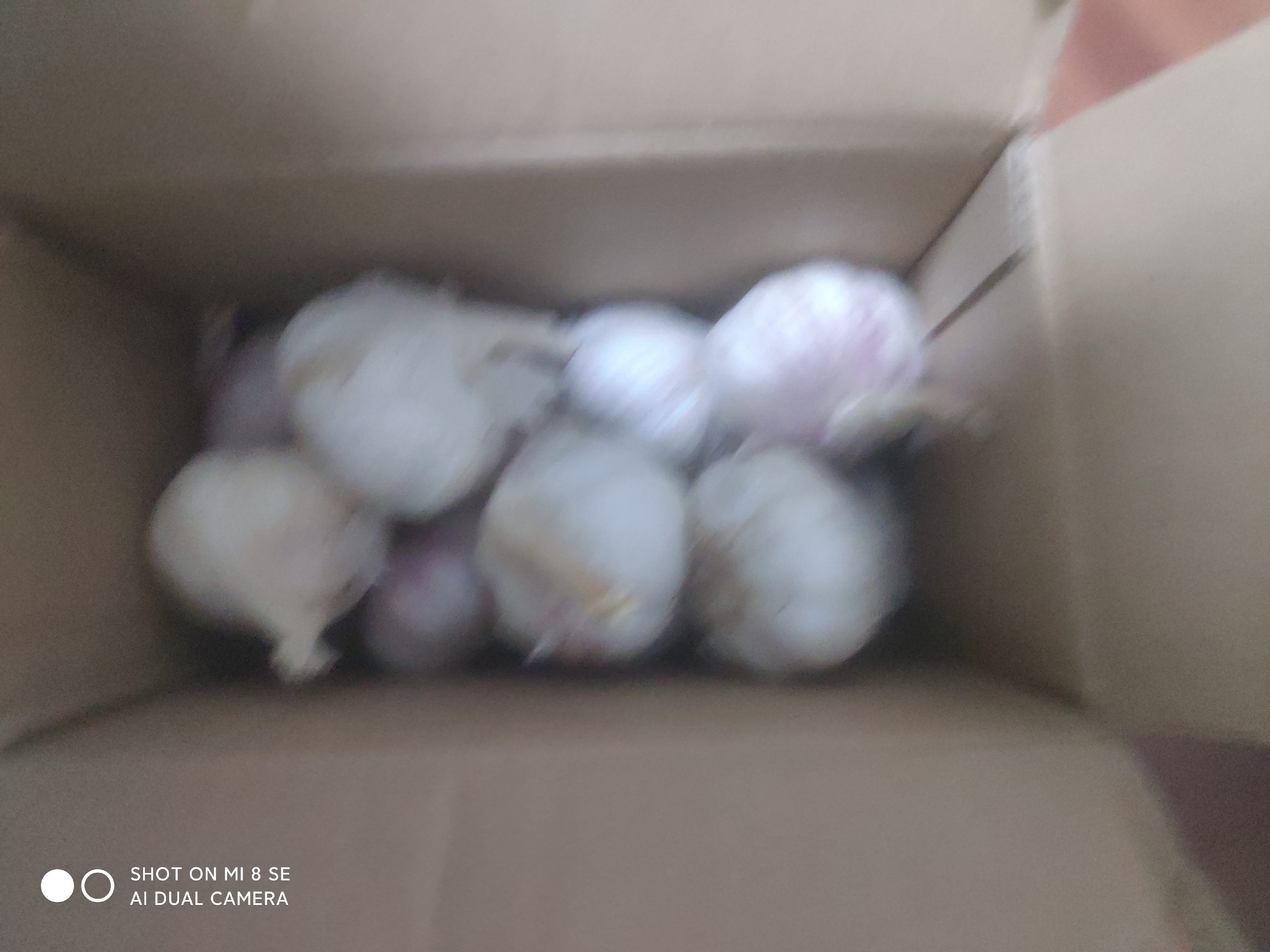 京喜自营金乡大蒜大蒜带皮新鲜干蒜源头直发包邮 净重1斤 5.0-5.5公分 实拍图