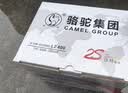 骆驼(CAMEL)汽车电瓶12V蓄电池L2-400(2S) 60AH 上门安装-以旧换新 适用于 大众POLO/宝来/捷达/朗逸/迈腾/途观 实拍图
