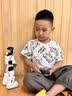 licheers智能仿生机器人AI人工编程儿童早教电动遥控玩具男孩生日礼物 实拍图