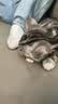 雷米高（RAMICAL） 猫粮猫猫主食主粮幼猫成猫海洋鱼味全价猫粮500g*5 实拍图