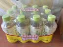 康师傅 青梅绿茶 330ml*12瓶 果味饮料饮品 便携整箱装 热门商品 实拍图