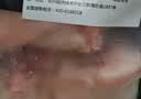 双汇猪小蹄膀净重3斤冷冻猪蹄膀猪肘子切块猪肉酱卤蹄髈 实拍图