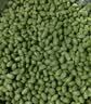 京鲜生速冻甜青豆粒1000g 冷冻蔬菜沙拉半加工蔬菜小豌豆代餐健康轻食 实拍图