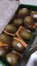 佳沛（zespri）新西兰金奇异果10粒巨大果146-175g猕猴桃中秋节礼品送水果礼盒 实拍图