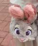 迪士尼（Disney）毛绒玩具公仔玩偶背包生日七夕情人节礼物疯狂动物城朱迪兔痛包 实拍图