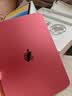 Apple/苹果 iPad 11英寸 A16芯片2025年款 平板电脑 (256GB WLAN版/学习办公娱乐)粉色 实拍图