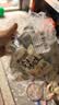老街口五香味古法烤花生300g约20包独立小包酥脆红皮花生米新货零食坚果 实拍图