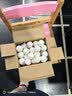 双鱼乒乓球一星1星训练用球发球机俱乐部展翅V40+兵乓球白色100个装 实拍图