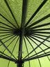 美度（MAYDU）双人晴雨伞大号加固加厚结实防风长把柄雨伞M5003墨绿色抗风防暴雨 实拍图