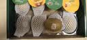佳沛（zespri）新西兰阳光金奇异果 8个装 特大果单果重约124-146g 水果猕猴桃 实拍图