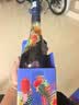马爹利（Martell） 名士VSOP 干邑白兰地 700ml 邬建安限量版 中秋送礼 实拍图