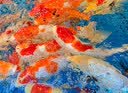 派乐特 加厚生化过滤棉鱼缸生化黑棉净水养鱼滤材 黑色中孔40*30*3cm 实拍图