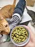 网易严选猫用薄荷饼干宠物幼猫成猫猫咪零食饼干薄荷味 95克 实拍图
