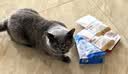 佩玛思特PetMaster深海鱼系列猫粮成猫去毛球猫粮2kg 实拍图