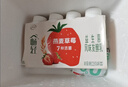 伊利畅轻低温酸奶燕麦草莓口味酸牛奶228g*4风味发酵乳 实拍图
