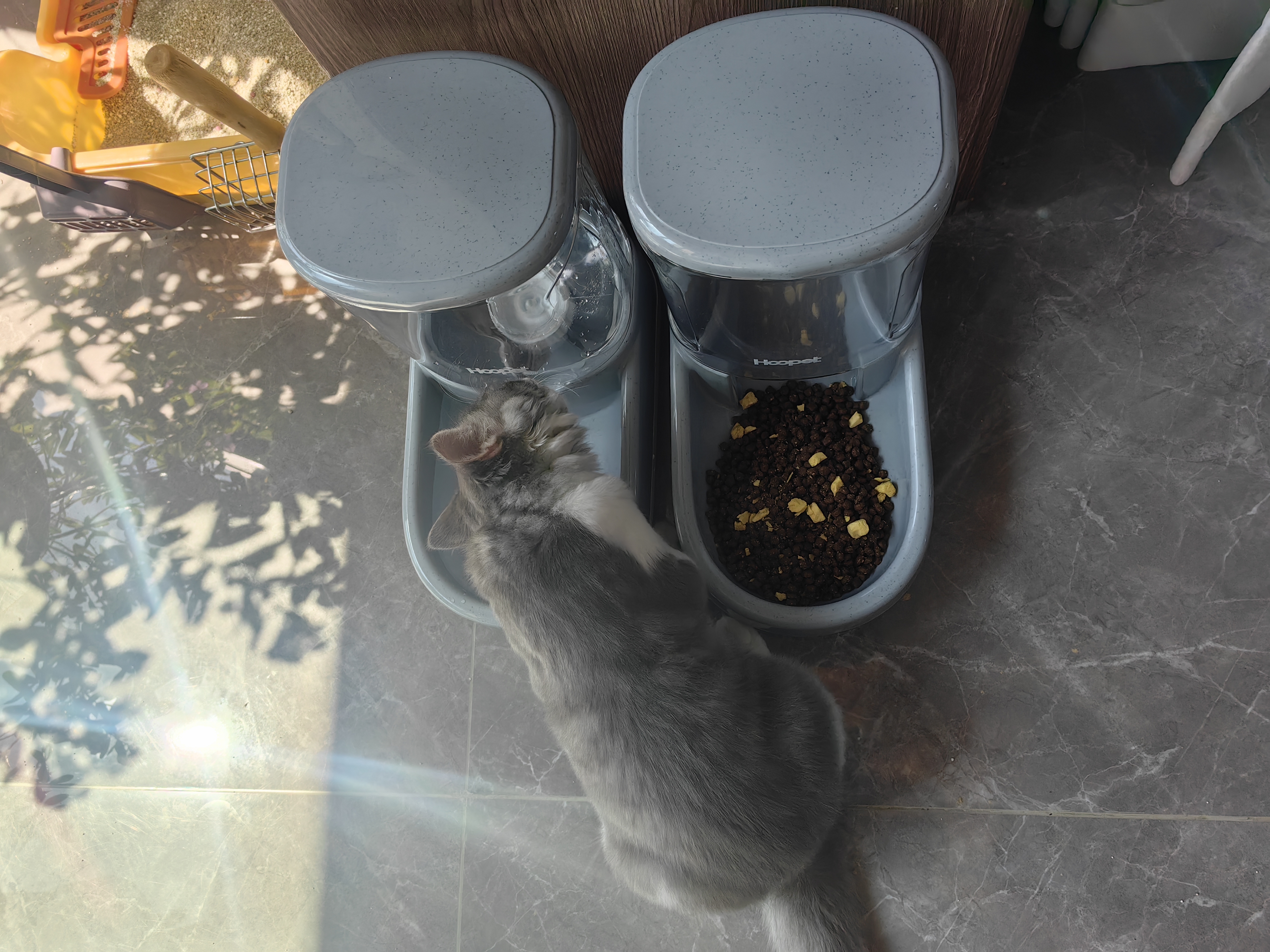 华元宠具超大容量宠物自动喂食器狗狗饮水机狗盆猫碗喂水猫咪投食器套装 实拍图