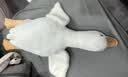 熊猫熊大白鹅玩偶抱枕睡觉布娃娃毛绒玩具超大号儿童男生生日礼物女生友 实拍图