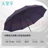 天堂伞 全自动雨伞三折 10骨加固一键开收易甩干简约商务自动雨伞 紫兰 实拍图