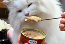 弗列加特 98%高含肉量 猫罐头 FPMR生骨肉猫湿粮 鲜鸡肉幼猫主食罐头95g 实拍图