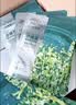珀莱雅（PROYA）小球藻面膜补水保湿海藻补水玻尿酸面膜男女士生日礼物 【莹润保湿】小球藻面膜18片 实拍图